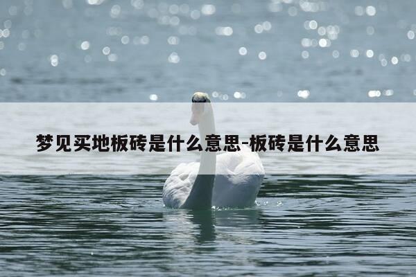 梦见买地板砖是什么意思-板砖是什么意思-第1张图片-优惠活动网