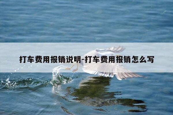 打车费用报销说明-打车费用报销怎么写-第1张图片-优惠活动网