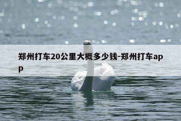 郑州打车20公里大概多少钱-郑州打车app-第1张图片-优惠活动网