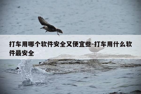 打车用哪个软件安全又便宜些-打车用什么软件最安全-第1张图片-优惠活动网
