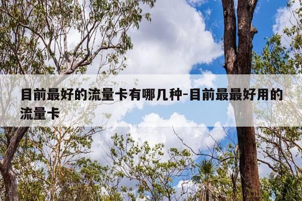 目前最好的流量卡有哪几种-目前最最好用的流量卡-第1张图片-优惠活动网 目前最好的流量卡有哪几种-目前最最好用的流量卡-第1张图片-优惠活动网
