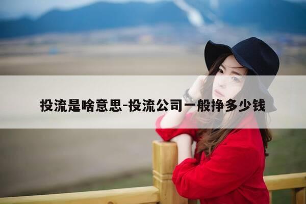 投流是啥意思-投流公司一般挣多少钱-第1张图片-优惠活动网