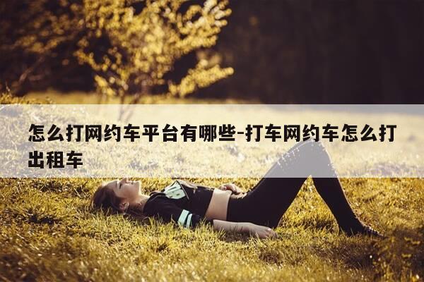 怎么打网约车平台有哪些-打车网约车怎么打出租车-第1张图片-优惠活动网