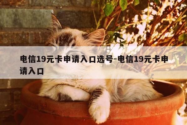 电信19元卡申请入口选号-电信19元卡申请入口-第1张图片-优惠活动网