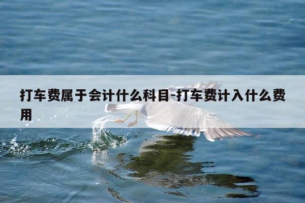 打车费属于会计什么科目-打车费计入什么费用-第1张图片-优惠活动网