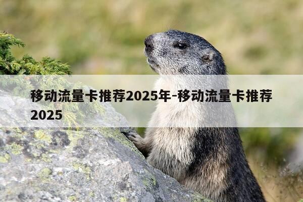 移动流量卡推荐2025年-移动流量卡推荐2025-第1张图片-优惠活动网 移动流量卡推荐2025年-移动流量卡推荐2025-第1张图片-优惠活动网