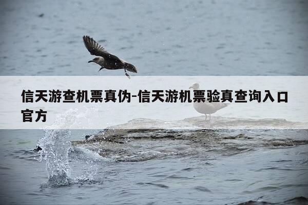 信天游查机票真伪-信天游机票验真查询入口官方-第1张图片-优惠活动网