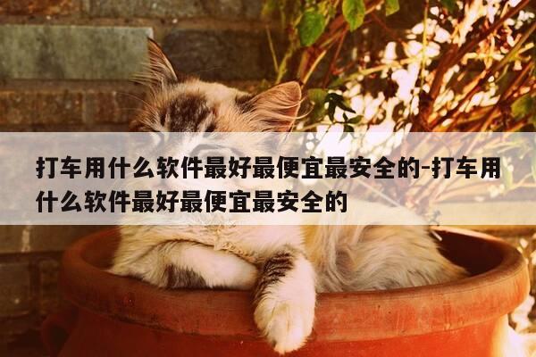 打车用什么软件最好最便宜最安全的-打车用什么软件最好最便宜最安全的-第1张图片-优惠活动网