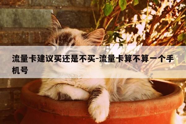 流量卡建议买还是不买-流量卡算不算一个手机号-第1张图片-优惠活动网