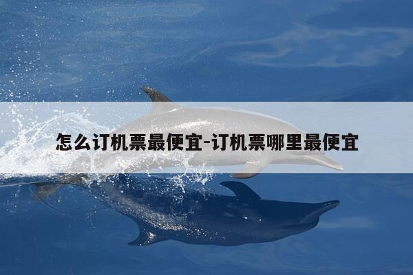 怎么订机票最便宜-订机票哪里最便宜-第1张图片-优惠活动网 怎么订机票最便宜-订机票哪里最便宜-第1张图片-优惠活动网