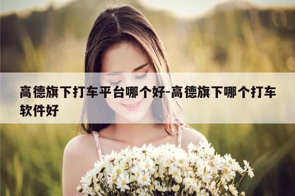 高德旗下打车平台哪个好-高德旗下哪个打车软件好-第1张图片-优惠活动网