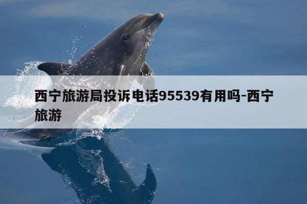 西宁旅游局投诉电话95539有用吗-西宁旅游-第1张图片-优惠活动网