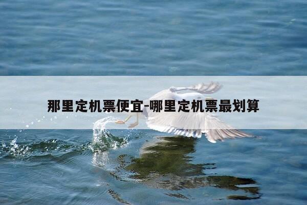 那里定机票便宜-哪里定机票最划算-第1张图片-优惠活动网