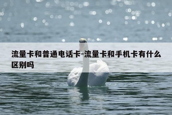 流量卡和普通电话卡-流量卡和手机卡有什么区别吗-第1张图片-优惠活动网