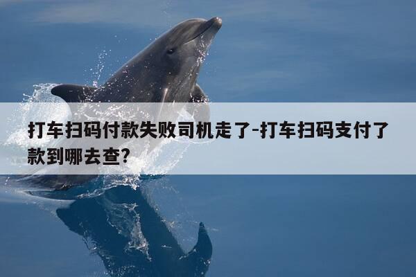 打车扫码付款失败司机走了-打车扫码支付了款到哪去查?-第1张图片-优惠活动网 打车扫码付款失败司机走了-打车扫码支付了款到哪去查?-第1张图片-优惠活动网