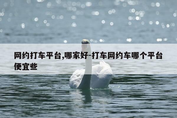 网约打车平台,哪家好-打车网约车哪个平台便宜些-第1张图片-优惠活动网 网约打车平台,哪家好-打车网约车哪个平台便宜些-第1张图片-优惠活动网