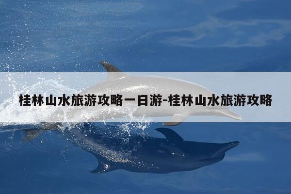 桂林山水旅游攻略一日游-桂林山水旅游攻略-第1张图片-优惠活动网