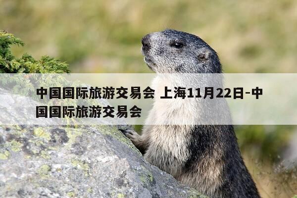 中国国际旅游交易会 上海11月22日-中国国际旅游交易会-第1张图片-优惠活动网