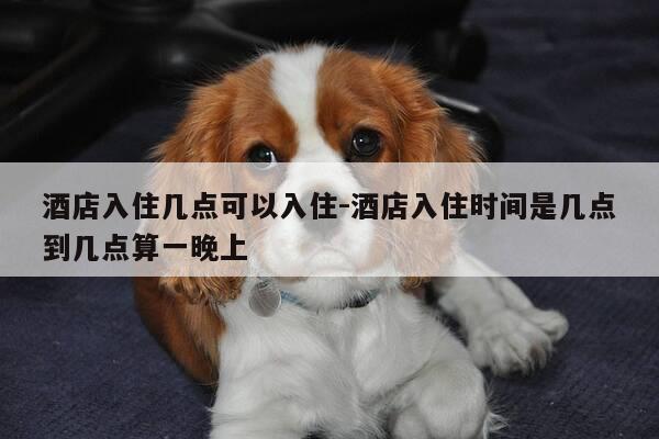 酒店入住几点可以入住-酒店入住时间是几点到几点算一晚上-第1张图片-优惠活动网