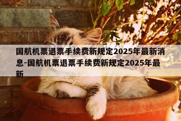 国航机票退票手续费新规定2025年最新消息-国航机票退票手续费新规定2025年最新-第1张图片-优惠活动网