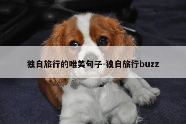 独自旅行的唯美句子-独自旅行buzz-第1张图片-优惠活动网