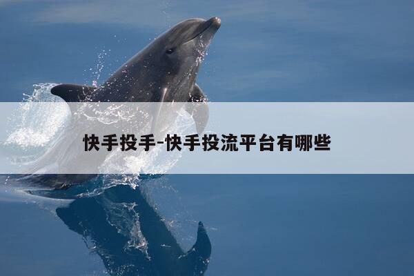 快手投手-快手投流平台有哪些-第1张图片-优惠活动网