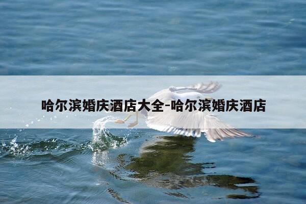 哈尔滨婚庆酒店大全-哈尔滨婚庆酒店-第1张图片-优惠活动网 哈尔滨婚庆酒店大全-哈尔滨婚庆酒店-第1张图片-优惠活动网