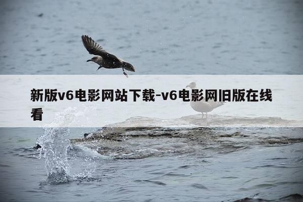新版v6电影网站下载-v6电影网旧版在线看-第1张图片-优惠活动网