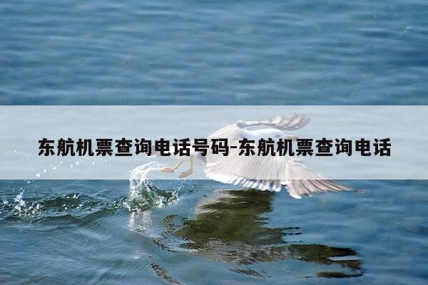 东航机票查询电话号码-东航机票查询电话-第1张图片-优惠活动网