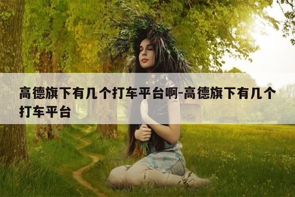 高德旗下有几个打车平台啊-高德旗下有几个打车平台-第1张图片-优惠活动网