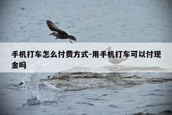 手机打车怎么付费方式-用手机打车可以付现金吗-第1张图片-优惠活动网