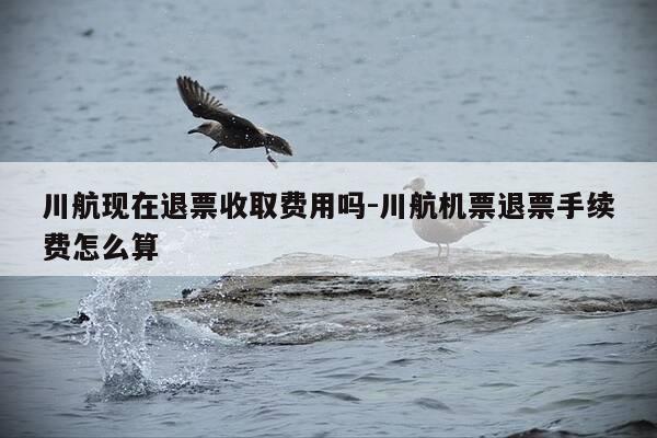 川航现在退票收取费用吗-川航机票退票手续费怎么算-第1张图片-优惠活动网