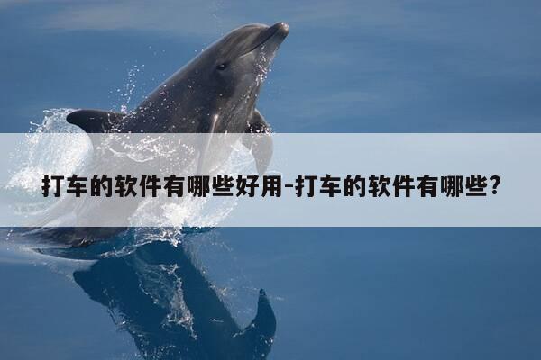 打车的软件有哪些好用-打车的软件有哪些?-第1张图片-优惠活动网