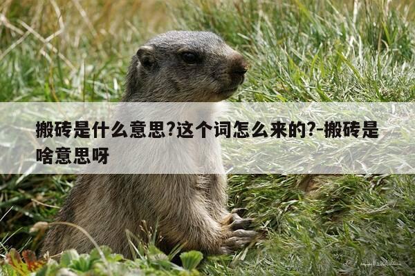 搬砖是什么意思?这个词怎么来的?-搬砖是啥意思呀-第1张图片-优惠活动网 搬砖是什么意思?这个词怎么来的?-搬砖是啥意思呀-第1张图片-优惠活动网