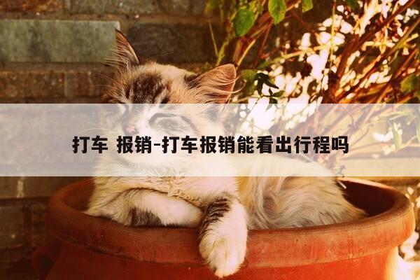 打车 报销-打车报销能看出行程吗-第1张图片-优惠活动网