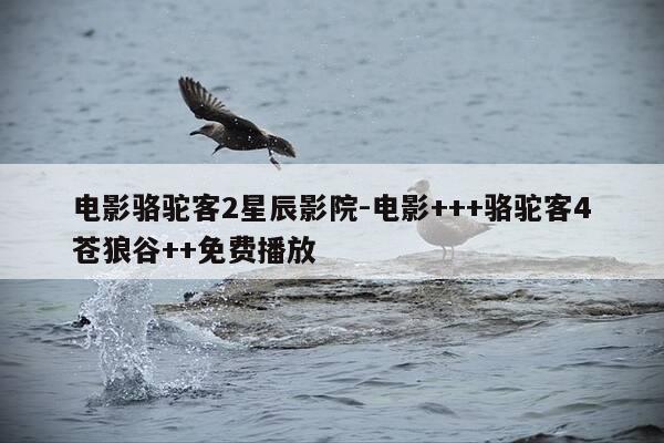 电影骆驼客2星辰影院-电影+++骆驼客4苍狼谷++免费播放-第1张图片-优惠活动网