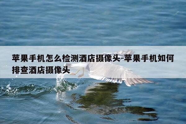 苹果手机怎么检测酒店摄像头-苹果手机如何排查酒店摄像头-第1张图片-优惠活动网