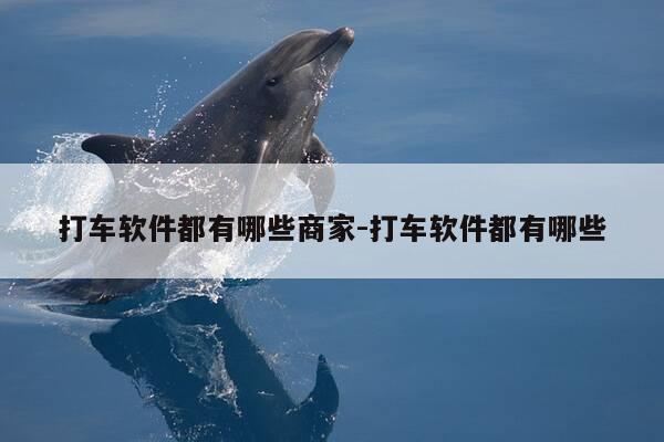 打车软件都有哪些商家-打车软件都有哪些-第1张图片-优惠活动网 打车软件都有哪些商家-打车软件都有哪些-第1张图片-优惠活动网