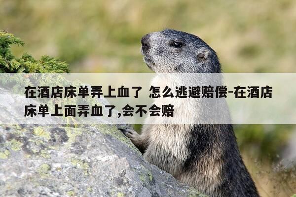 在酒店床单弄上血了 怎么逃避赔偿-在酒店床单上面弄血了,会不会赔-第1张图片-优惠活动网