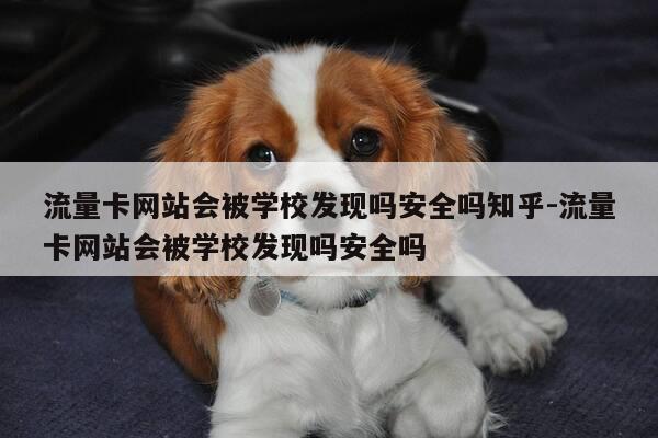 流量卡网站会被学校发现吗安全吗知乎-流量卡网站会被学校发现吗安全吗-第1张图片-优惠活动网