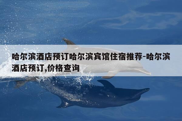 哈尔滨酒店预订哈尔滨宾馆住宿推荐-哈尔滨酒店预订,价格查询-第1张图片-优惠活动网 哈尔滨酒店预订哈尔滨宾馆住宿推荐-哈尔滨酒店预订,价格查询-第1张图片-优惠活动网