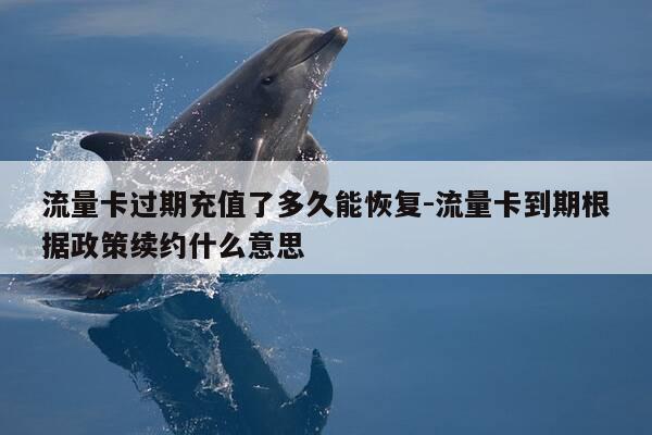 流量卡过期充值了多久能恢复-流量卡到期根据政策续约什么意思-第1张图片-优惠活动网