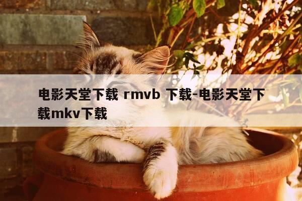电影天堂下载 rmvb 下载-电影天堂下载mkv下载-第1张图片-优惠活动网