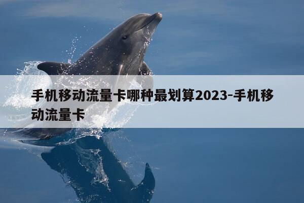 手机移动流量卡哪种最划算2023-手机移动流量卡-第1张图片-优惠活动网