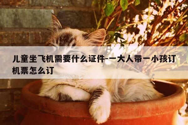 儿童坐飞机需要什么证件-一大人带一小孩订机票怎么订-第1张图片-优惠活动网