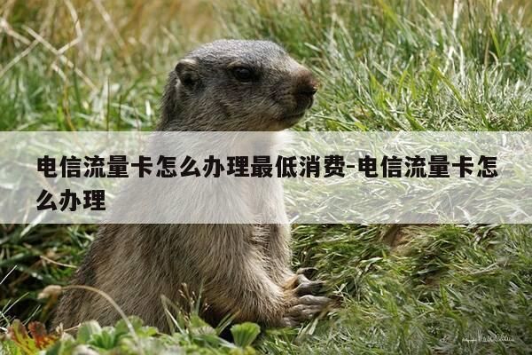 电信流量卡怎么办理最低消费-电信流量卡怎么办理-第1张图片-优惠活动网