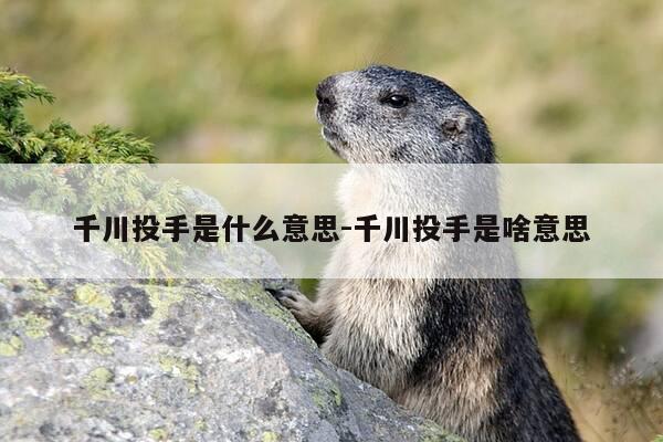 千川投手是什么意思-千川投手是啥意思-第1张图片-优惠活动网