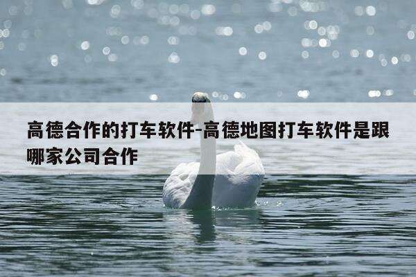 高德合作的打车软件-高德地图打车软件是跟哪家公司合作-第1张图片-优惠活动网