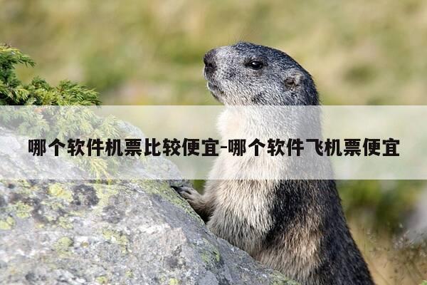 哪个软件机票比较便宜-哪个软件飞机票便宜-第1张图片-优惠活动网