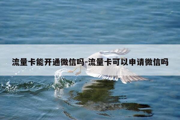 流量卡能开通微信吗-流量卡可以申请微信吗-第1张图片-优惠活动网 流量卡能开通微信吗-流量卡可以申请微信吗-第1张图片-优惠活动网
